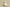 Yeezy Boost 350 V2 Cream/Triple White