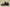 Yeezy Boost 350 V2 Full Transparent Black Edition