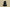 Yeezy Boost 350 V2 Full Transparent Black Edition