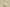 Yeezy Boost 350 V2 Full Transparent White Edition