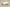 Yeezy Boost 350 V2 Full Transparent White Edition