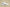 Yeezy Boost 350 V2 Full Transparent White Edition
