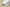 Yeezy Boost 350 V2 Full Transparent White Edition