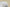 Yeezy Boost 350 V2 Full Transparent White Edition