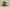 Yeezy Boost 350 V2 HQ2059 Army Green x Black Heat with Popcorn Sole