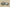Yeezy Boost 350 V2 HQ2059 Army Green x Black Heat with Popcorn Sole