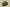 Yeezy Boost 350 V2 HQ2059 Army Green x Black Heat with Popcorn Sole