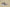 Yeezy Boost 350 V2 Khaki Gray Colorway