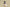 Yeezy Boost 350 V2 Khaki Gray Colorway