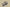 Yeezy Boost 350 V2 Khaki Gray Colorway