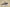 Yeezy Boost 350 V2 Khaki Gray Colorway