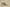 Yeezy Boost 350 V2 MX Oat Multi-Color Swirl with Oat Base