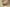 Yeezy Boost 350 V2 MX Oat Multi-Color Swirl with Oat Base