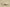 Yeezy Boost 350 V2 MX Oat Multi-Color Swirl with Oat Base