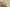 Yeezy Boost 350 V2 MX Oat Multi-Color Swirl with Oat Base