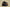 Yeezy Boost 350 V2 MX Rock Kanye West Edition