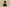 Yeezy Boost 350 V2 Military Green with Orange Accents
