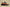 Yeezy Boost 350 V2 Military Green with Orange Accents
