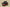 Yeezy Boost 350 V2 Military Green with Orange Accents