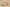 Yeezy Boost 350 V2 Mono Clay Translucent Mesh in Apricot Orange