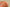Yeezy Boost 350 V2 Mono Clay Translucent Mesh in Apricot Orange