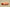 Yeezy Boost 350 V2 Mono Clay Translucent Mesh in Apricot Orange