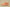 Yeezy Boost 350 V2 Mono Clay Translucent Mesh in Apricot Orange