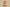 Yeezy Boost 350 V2 Mono Clay Translucent Mesh in Apricot Orange