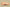 Yeezy Boost 350 V2 Mono Clay Translucent Mesh in Apricot Orange
