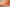 Yeezy Boost 350 V2 Mono Clay Translucent Mesh in Apricot Orange