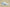 Yeezy Boost 350 V2 Mono Ice Full Transparent Ice Blue Edition