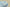 Yeezy Boost 350 V2 Mono Ice Full Transparent Ice Blue Edition