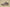 Yeezy Boost 350 V2 Mono Mist Translucent Grey-Brown Minimalist Edition