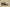Yeezy Boost 350 V2 Mono Mist Translucent Grey-Brown Minimalist Edition