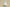 Yeezy Boost 350 V2 Pure White Neutral Casual Sports Shoes