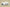 Yeezy Boost 350 V2 Pure White Neutral Casual Sports Shoes