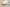 Yeezy Boost 350 V2 Pure White Neutral Casual Sports Shoes