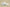 Yeezy Boost 350 V2 Pure White Neutral Casual Sports Shoes