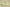 Yeezy Boost 350 V2 Semi Frozen Yellow