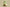 Yeezy Boost 350 V2 Semi Frozen Yellow
