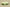 Yeezy Boost 350 V2 Semi Frozen Yellow