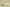 Yeezy Boost 350 V2 Semi Frozen Yellow