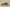 Yeezy Boost 350 V2 Sesame with Painted Stripe