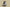 Yeezy Boost 350 V2 Sesame with Painted Stripe