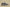 Yeezy Boost 350 V2 Sesame with Painted Stripe