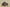 Yeezy Boost 350 V2 Sesame with Painted Stripe