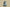 Yeezy Boost 350 V2 Versatile Lightweight Casual Jogging Shoes with Popcorn Midsole