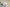 Yeezy Boost 350 V2 White Zebra Neutral Casual Sports Shoes