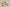 Yeezy Boost 350 V2 White Zebra Neutral Casual Sports Shoes
