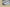 Yeezy Boost 350 V2 White Zebra Neutral Casual Sports Shoes